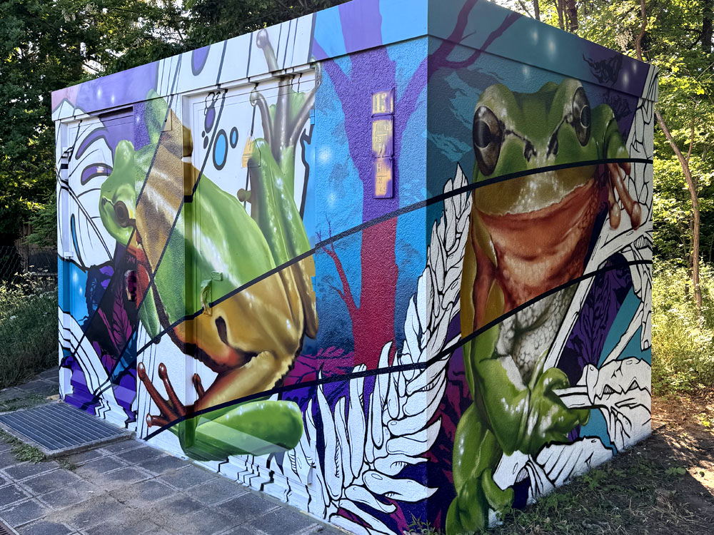 graffiti auftrag n-ergie auftrag froesche nuernberg bayern tribegas cris 02