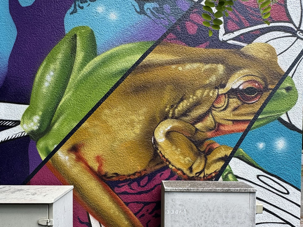 graffiti auftrag n-ergie auftrag froesche nuernberg bayern tribegas cris 04
