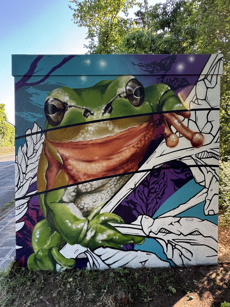 graffiti auftrag n-ergie auftrag froesche nuernberg bayern tribegas cris 07