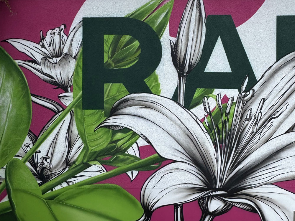 graffiti auftrag radloff nuernberg bayern tribegas cris 01