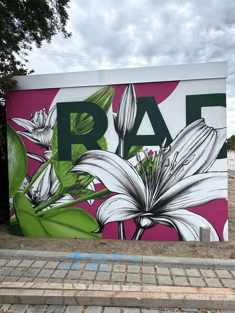 graffiti auftrag radloff nuernberg bayern tribegas cris 08