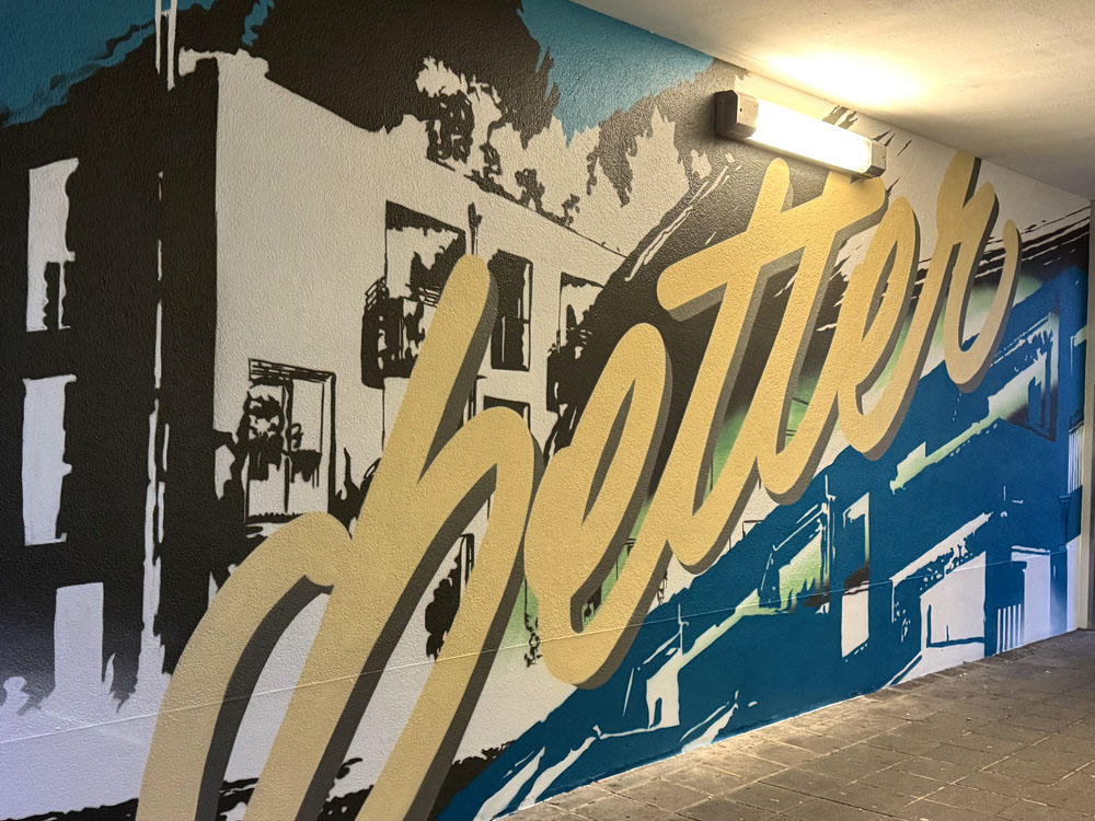 Graffiti Auftrag Siedlungswerk Nuernberg Tribegas cris 06